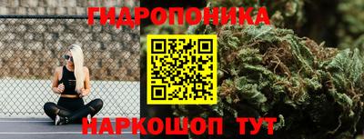 Альфа ПВП Камышлов