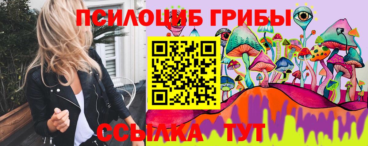Галлюциногенные грибы Magic Shrooms  Вход с VPN  Холмск  Галлюциногенные грибы Psilocybine cubensis 