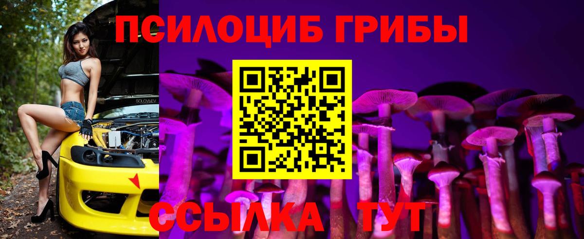 Псилоцибиновые грибы прущие грибы Холмск